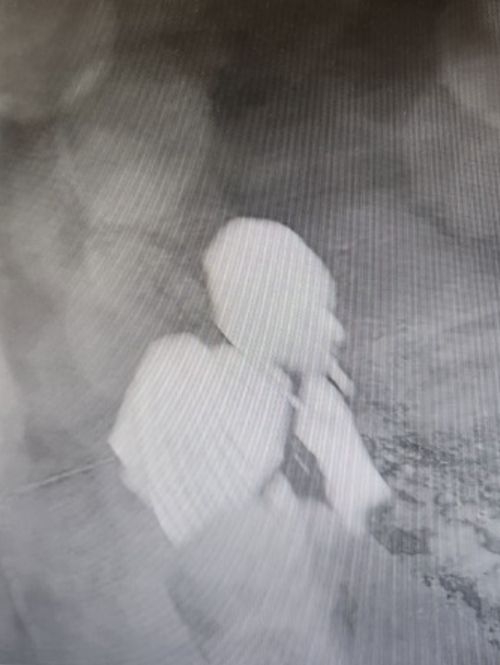 Site Image