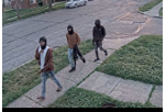 Site Image