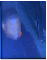 Site Image