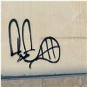 Site Image