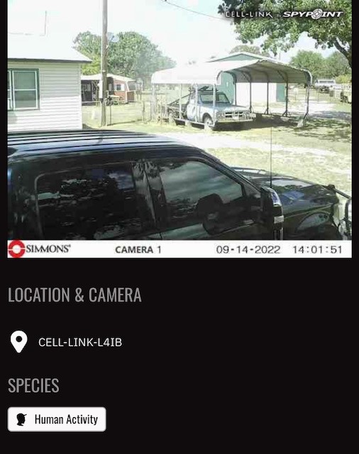 Site Image