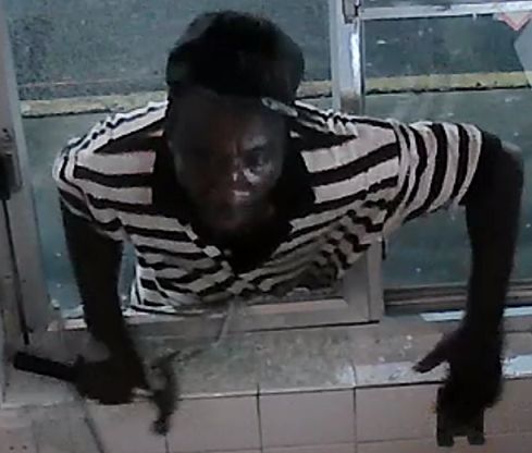 Click to Enlarge Site Image