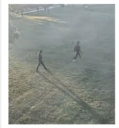 Site Image
