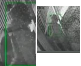 Site Image