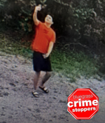 Site Image