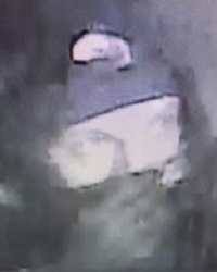 Site Image