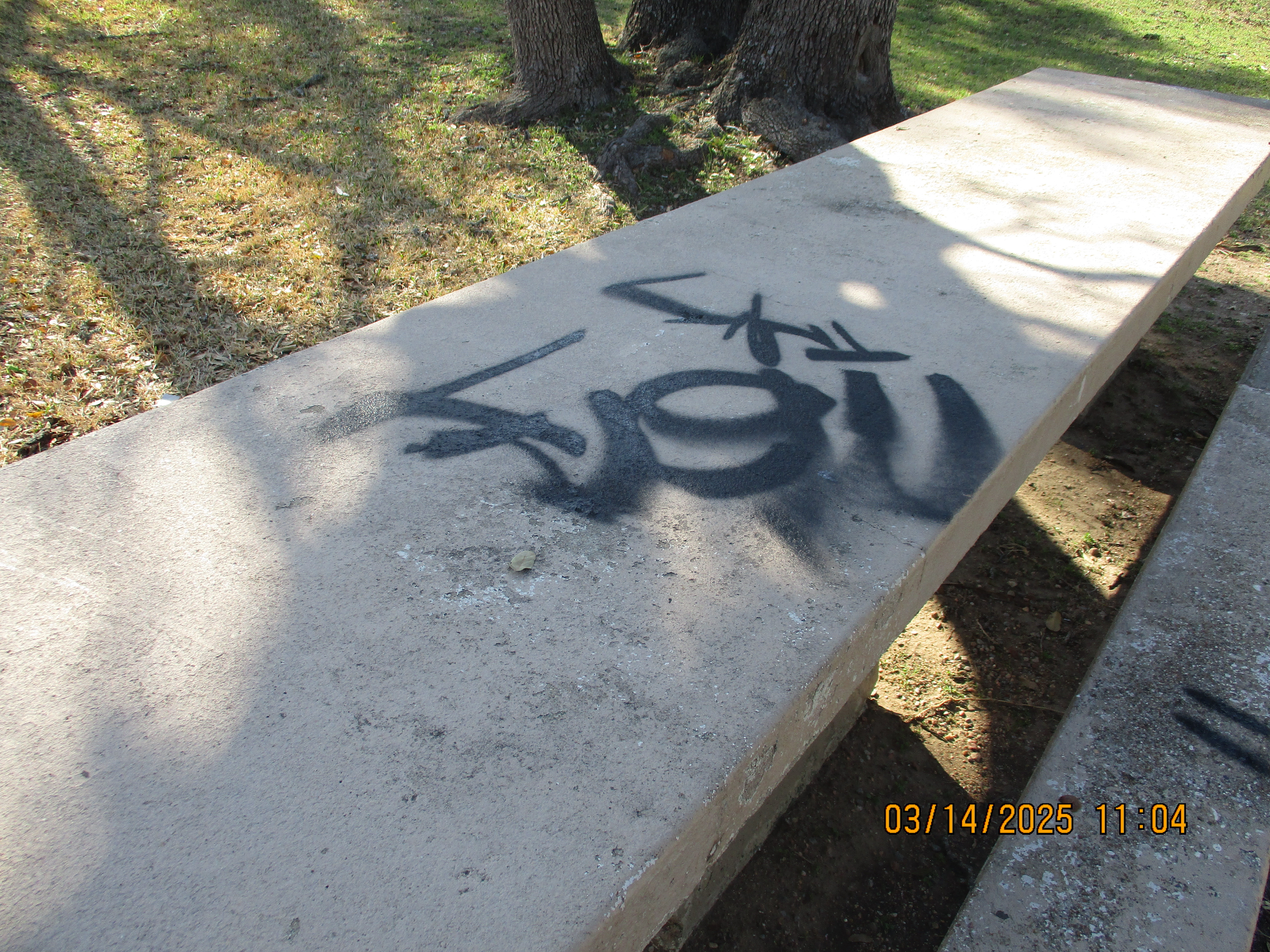Site Image