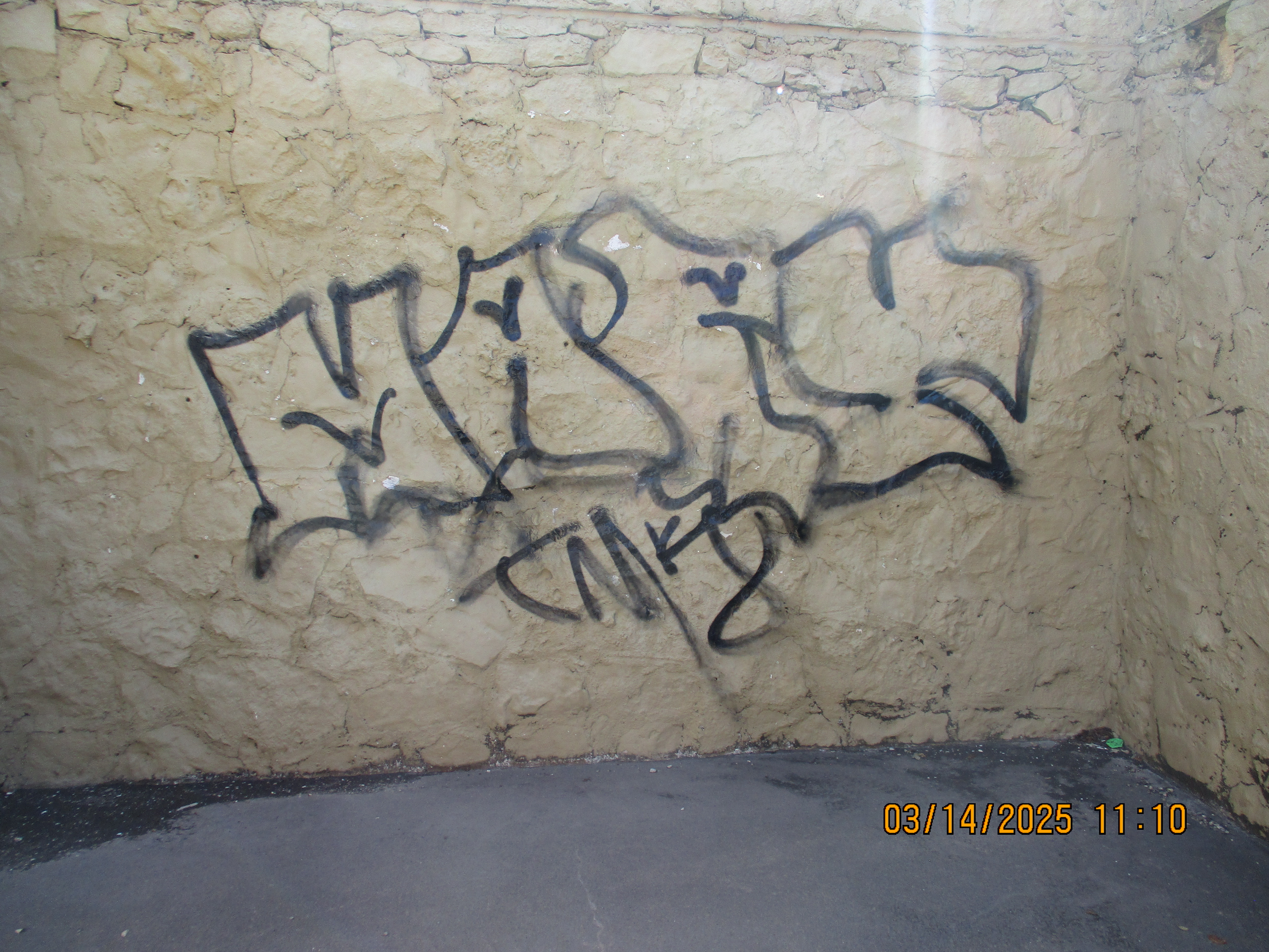 Site Image