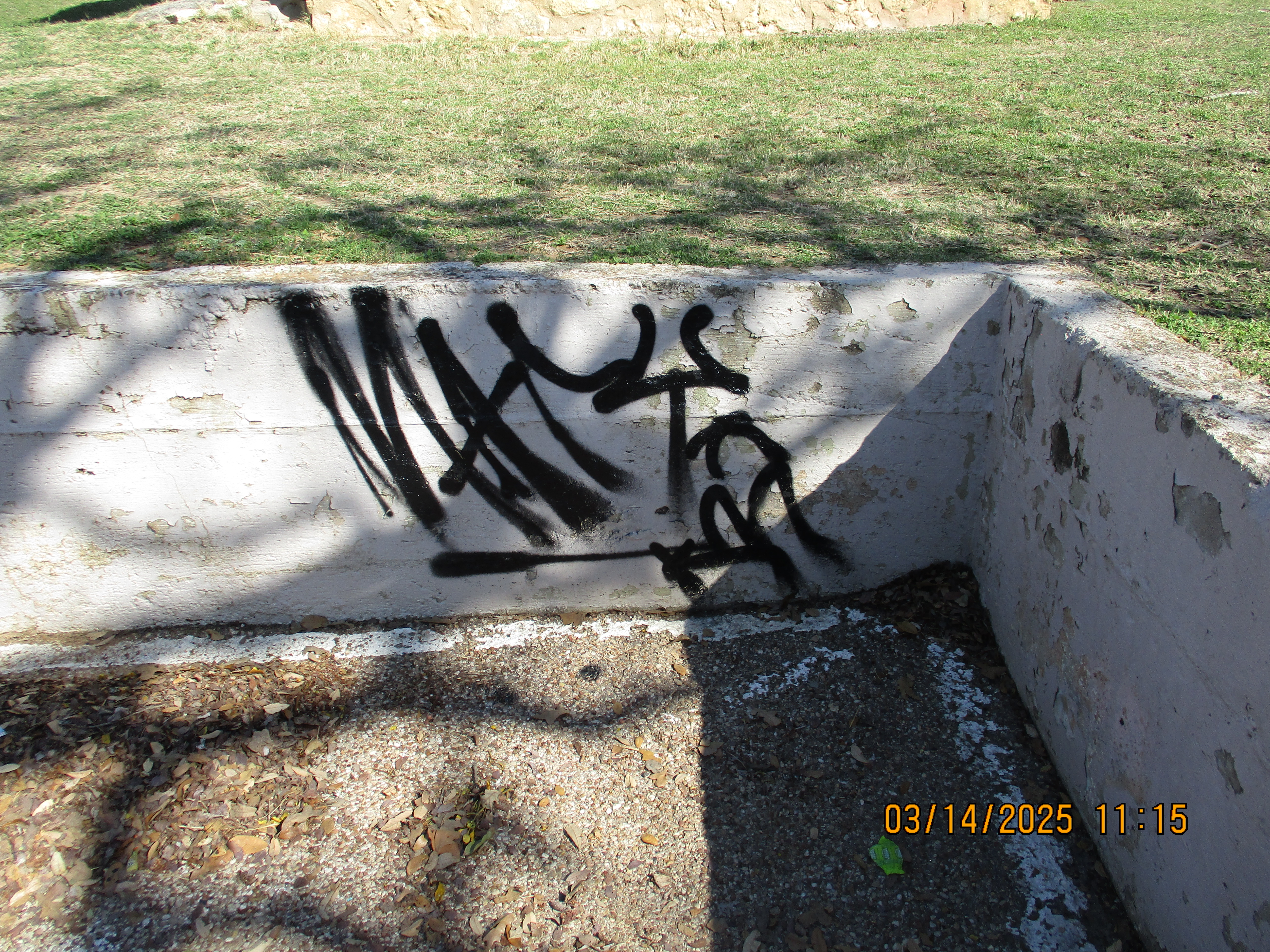 Site Image