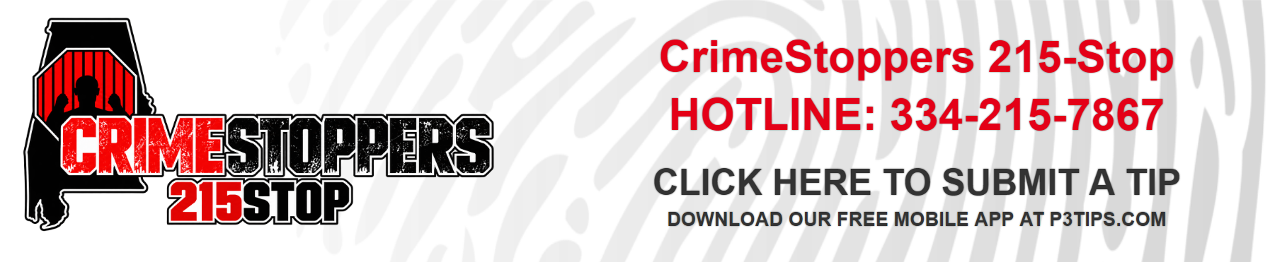 Title Image