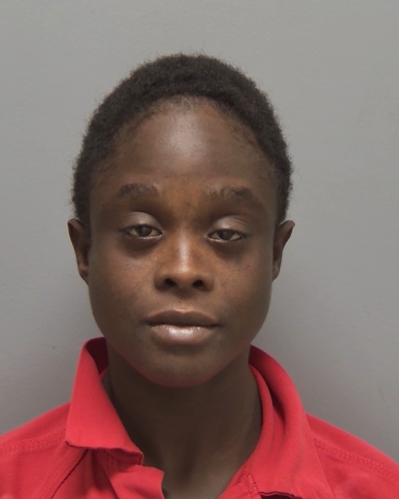 Wanted suspect photo