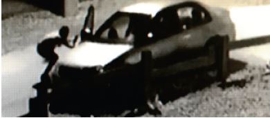 Site Image