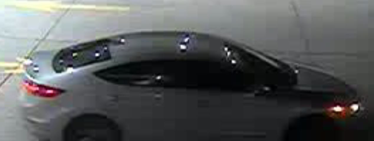 Site Image