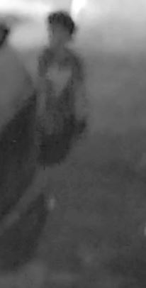 Site Image