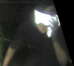 Site Image