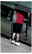 Site Image