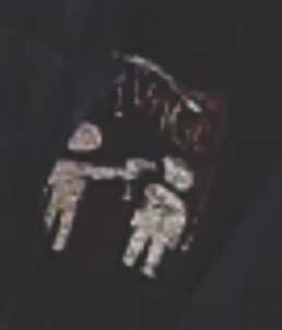 Site Image