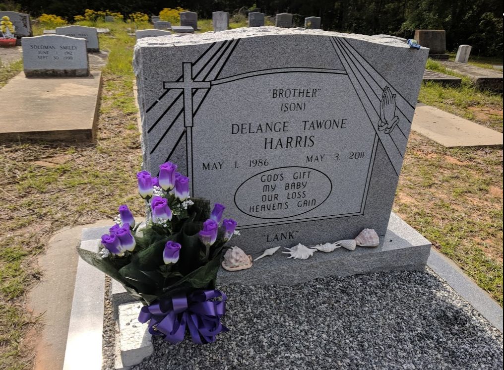 Site Image