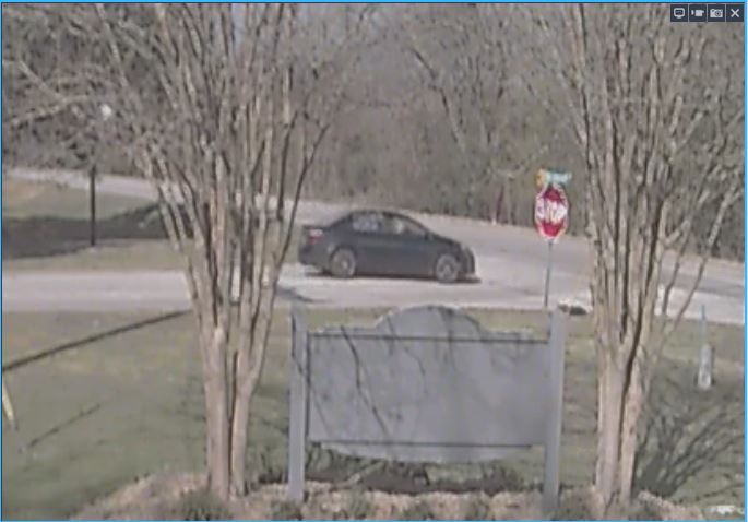 Site Image