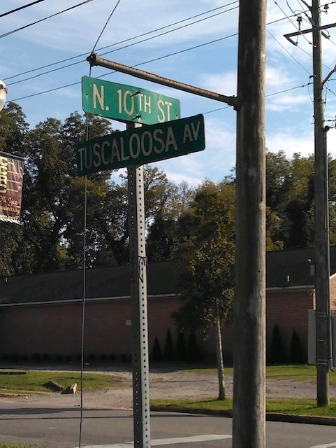 Site Image