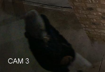 Site Image