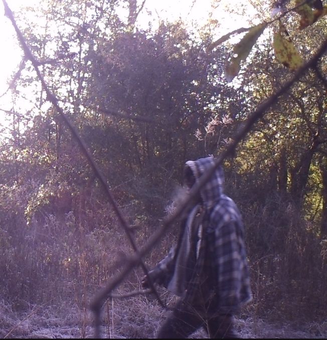 Site Image