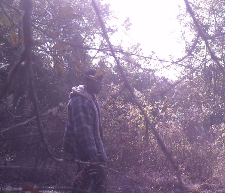 Site Image