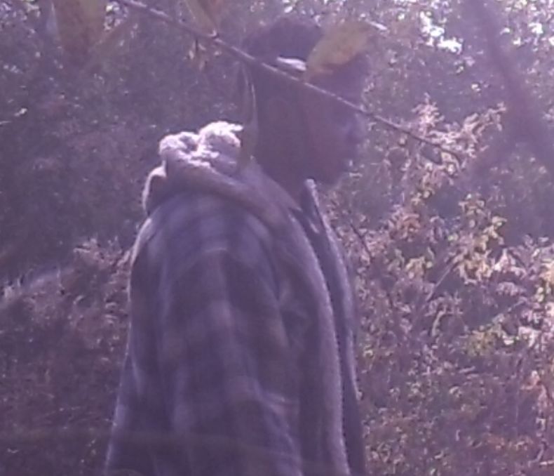 Site Image