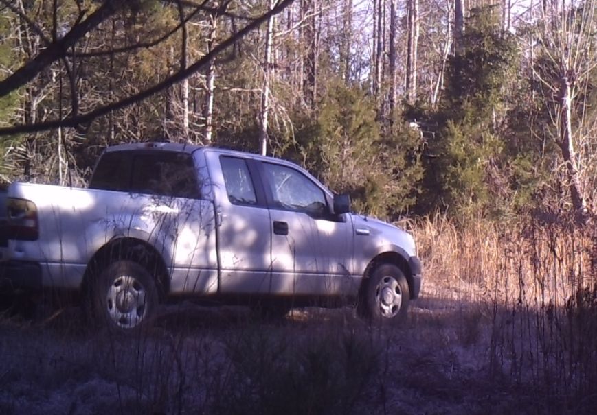 Site Image