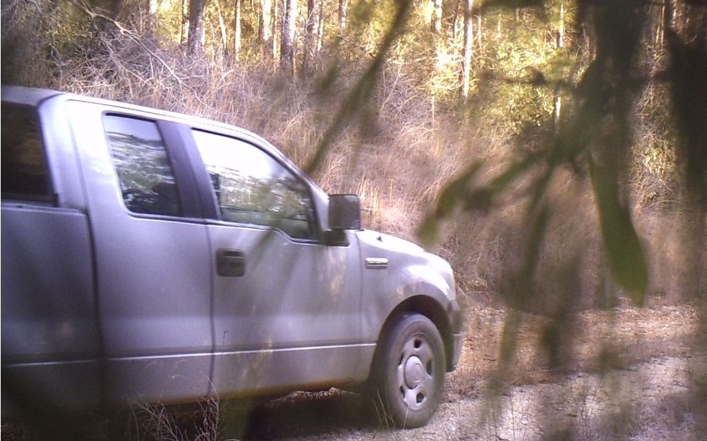 Site Image