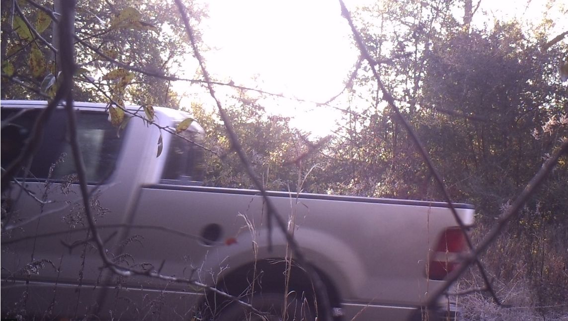Site Image
