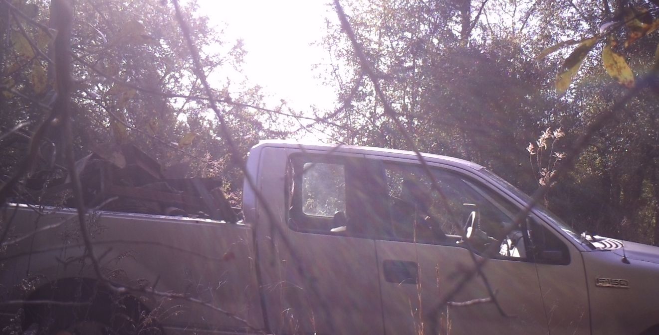 Site Image