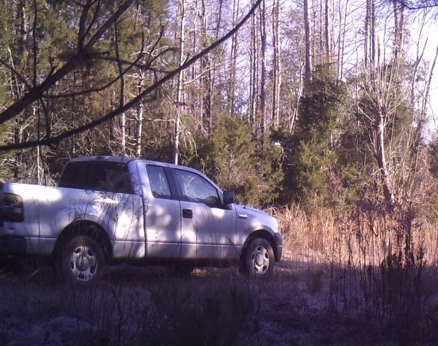 Site Image