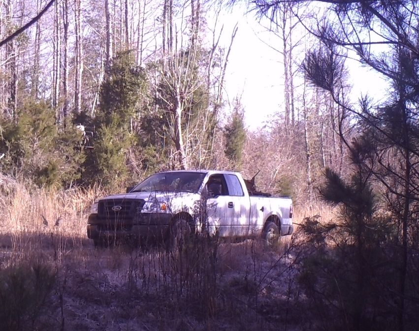 Site Image