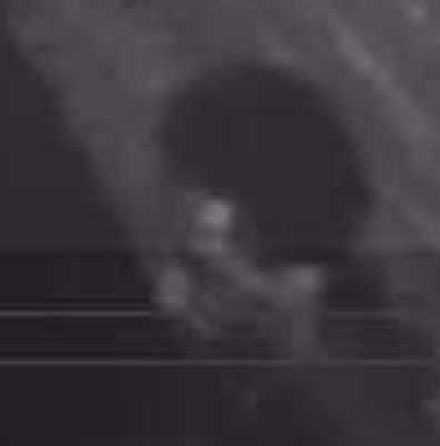 Site Image