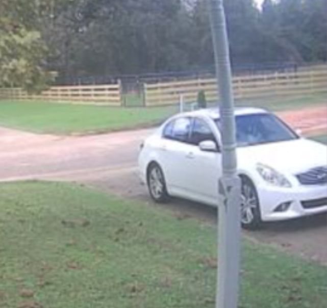 Site Image