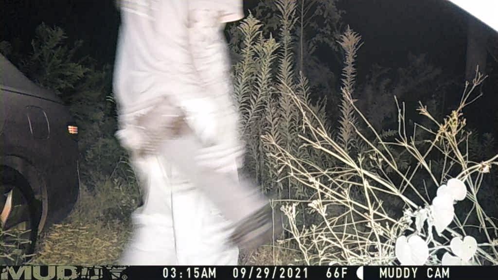 Site Image