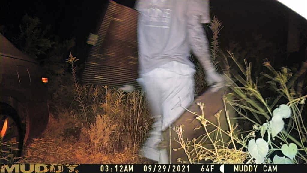 Site Image