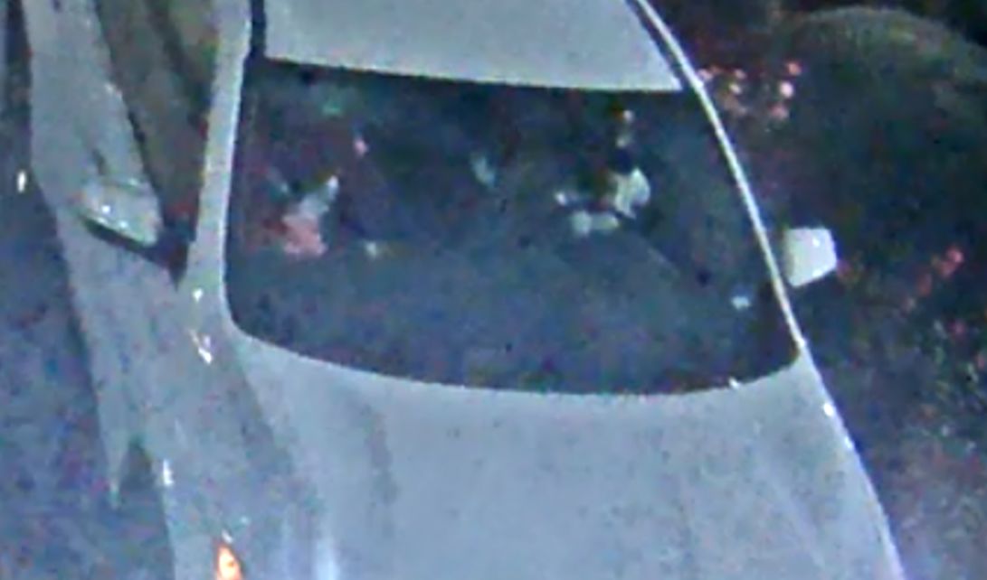Site Image