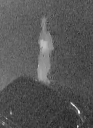 Site Image