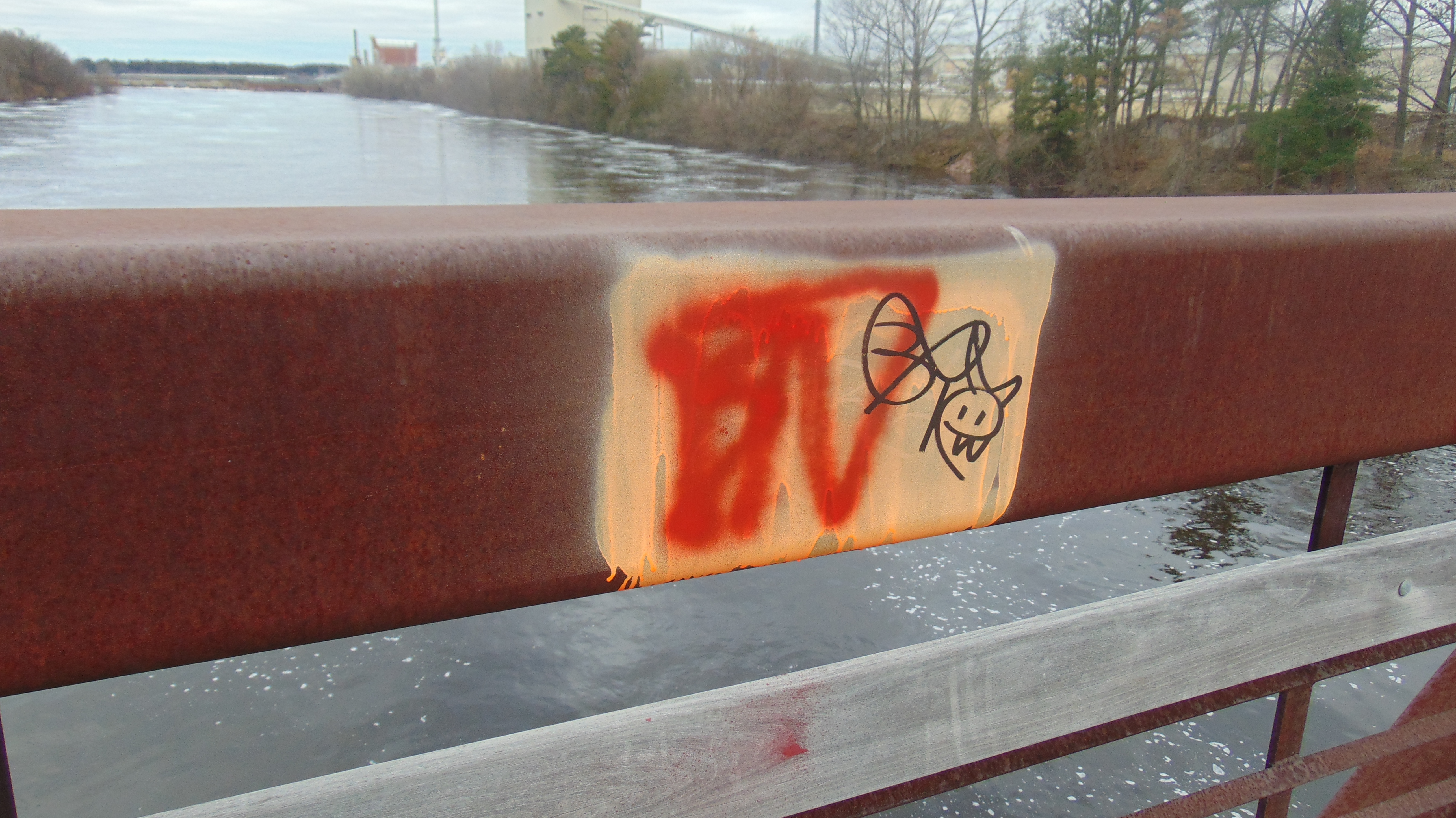 Site Image
