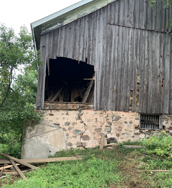 Site Image