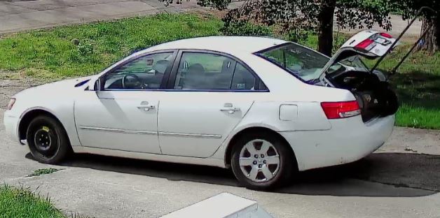 Site Image