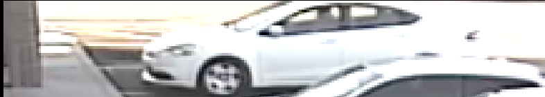 Site Image