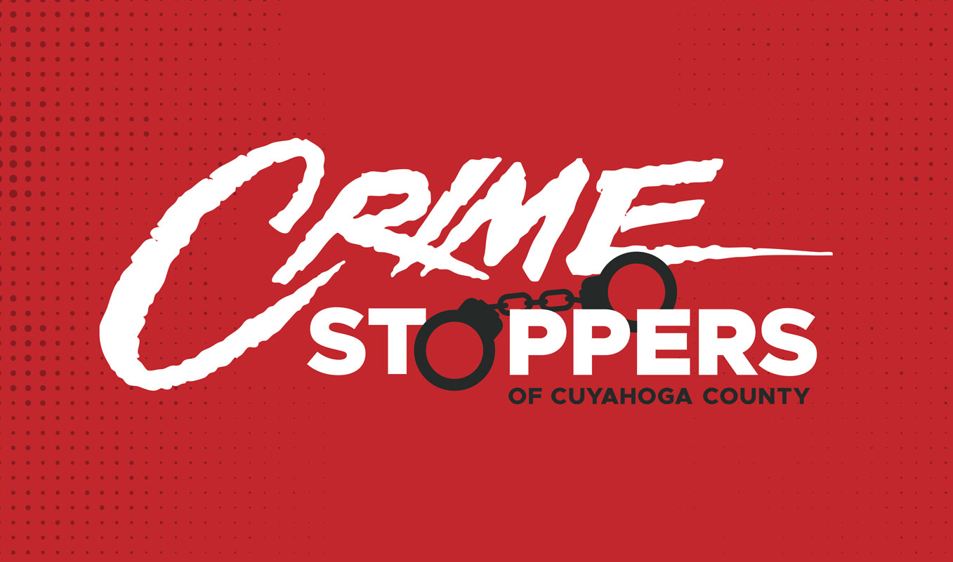 Cuyahoga County Court Records, image size:1357x801